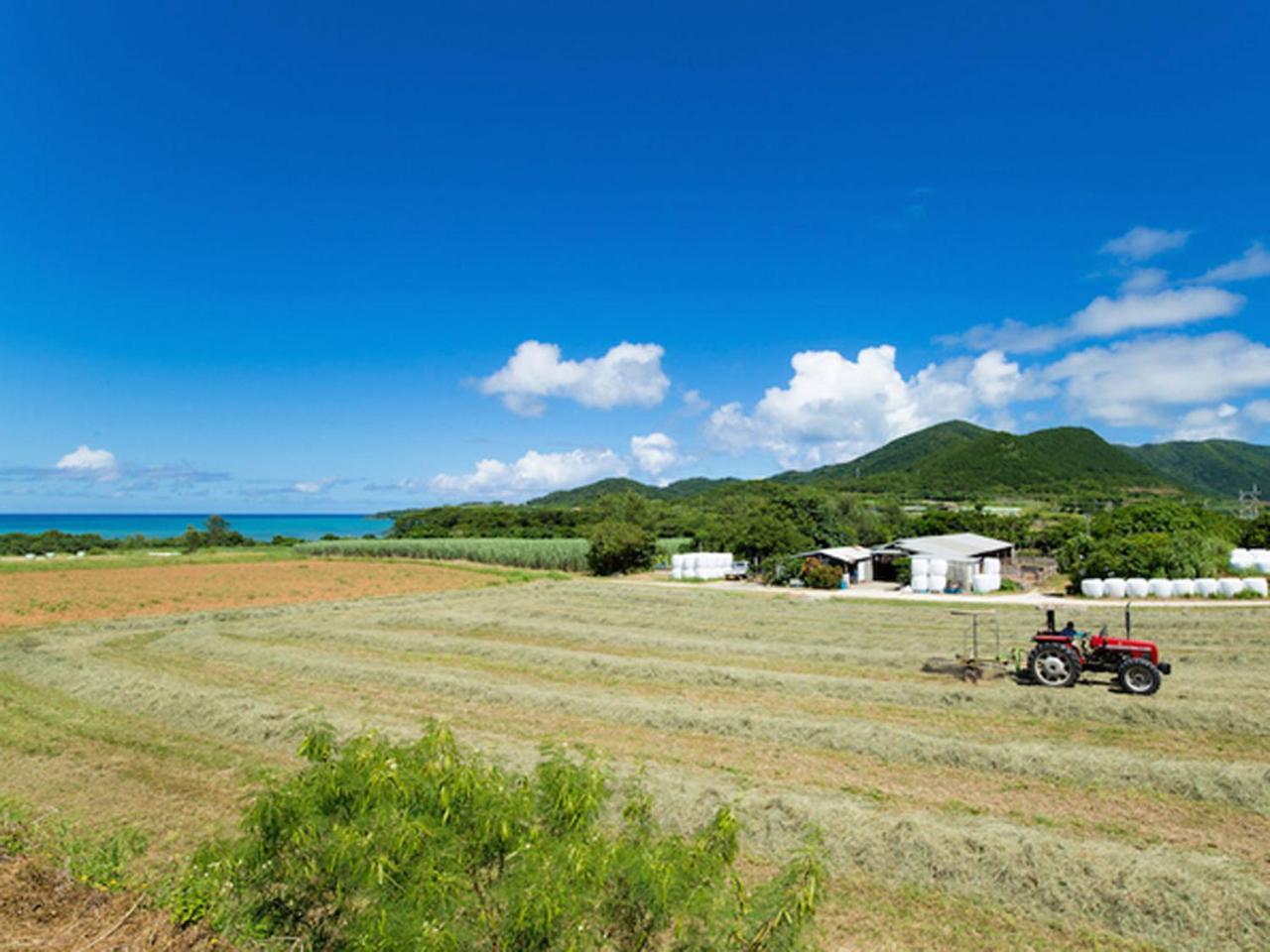 石垣島サン・グリーングラス リゾートホテル 石垣市 エクステリア 写真
